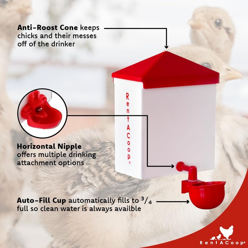 RentACoop 64oz(2L) Automatic Drinker - BPA-Free Waterer with Auto-Fill Cup - Suitable for Chicks, Quail, Pigeons, Doves, and Other Smaller Birds - Image 3